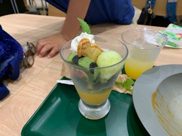 福井県立恐竜博物館に投稿された画像（2025/9/9）