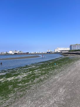 ちばみなとサップヨガに投稿された画像（2025/9/9）