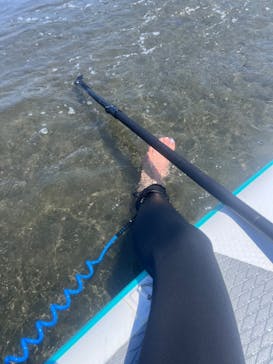 ちばみなとサップヨガに投稿された画像（2025/9/9）