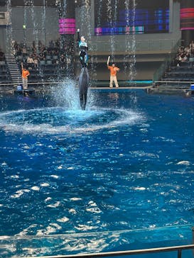 マクセル アクアパーク品川に投稿された画像（2025/9/9）