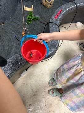 いきもの探検隊上尾に投稿された画像（2025/9/9）