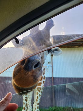 那須サファリパークに投稿された画像（2025/9/9）