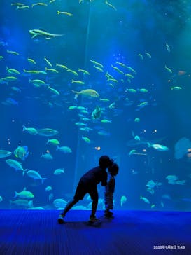 四国水族館に投稿された画像（2025/9/9）