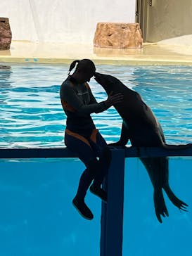 伊豆・三津シーパラダイスに投稿された画像（2025/9/9）