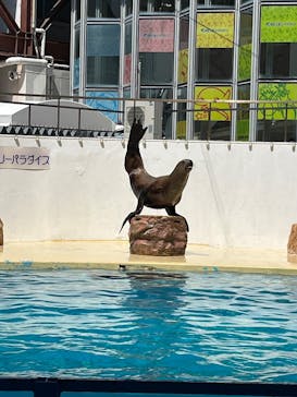 伊豆・三津シーパラダイスに投稿された画像（2025/9/9）