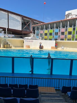 伊豆・三津シーパラダイスに投稿された画像（2025/9/9）