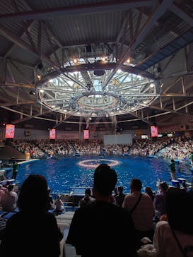 マクセル アクアパーク品川に投稿された画像（2025/9/9）