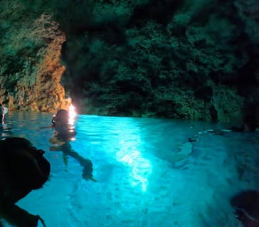 ダイビングショップ Sea Free（シーフリー）に投稿された画像（2025/9/9）