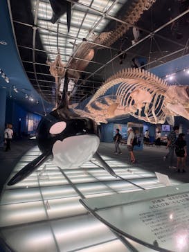 名古屋港水族館に投稿された画像（2025/9/9）