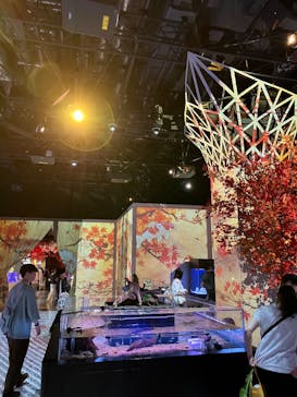 マクセル アクアパーク品川に投稿された画像（2025/9/9）