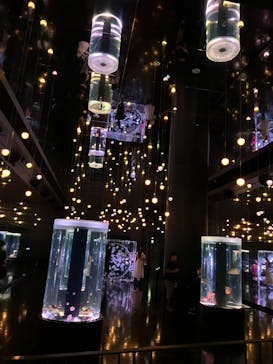 マクセル アクアパーク品川に投稿された画像（2025/9/9）