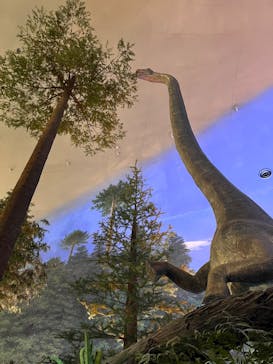 福井県立恐竜博物館に投稿された画像（2025/9/9）