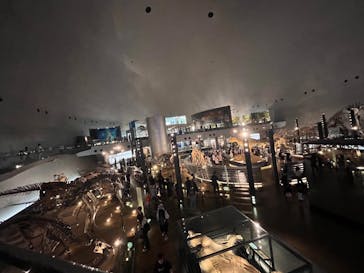 福井県立恐竜博物館に投稿された画像（2025/9/9）