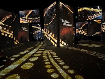 クリムト・アライブに投稿された画像（2025/9/9）