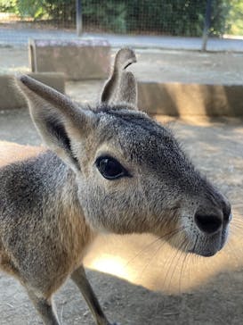 群馬サファリパークに投稿された画像（2025/9/9）