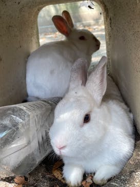 群馬サファリパークに投稿された画像（2025/9/9）