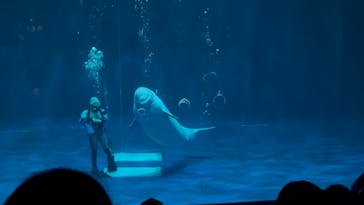 島根県立 しまね海洋館に投稿された画像（2025/9/9）