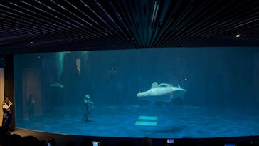 島根県立 しまね海洋館に投稿された画像（2025/9/9）