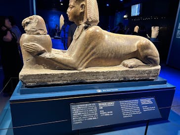 ACN ラムセス大王展 ファラオたちの黄金に投稿された画像（2025/9/9）