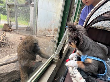 伊豆アニマルキングダムに投稿された画像（2025/9/9）
