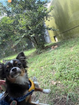 伊豆アニマルキングダムに投稿された画像（2025/9/9）