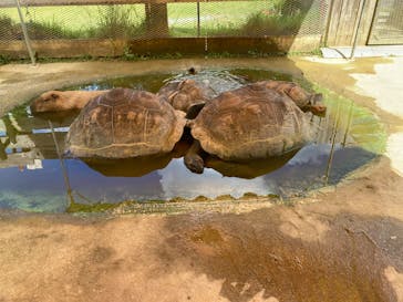 ネオパークオキナワに投稿された画像（2025/9/10）