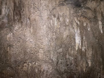 おきなわワールドに投稿された画像（2025/9/10）