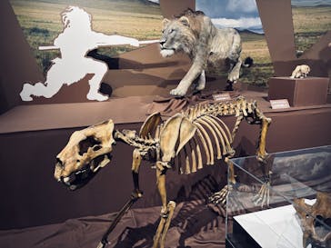 特別展「氷河期展 〜人類が見た4万年前の世界〜」（国立科学博物館）に投稿された画像（2025/9/10）