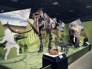 特別展「氷河期展 〜人類が見た4万年前の世界〜」（国立科学博物館）に投稿された画像（2025/9/10）