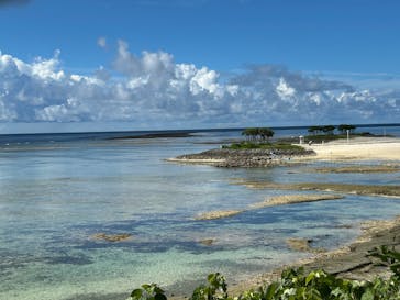 沖縄美ら海水族館に投稿された画像（2025/9/10）