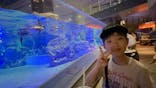 すみだ水族館に投稿された画像（2025/9/10）