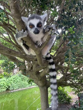 伊豆シャボテン動物公園に投稿された画像（2025/9/10）