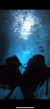 武藤潜水に投稿された画像（2025/9/10）