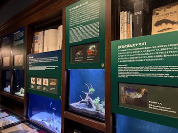 新江ノ島水族館に投稿された画像（2025/9/10）