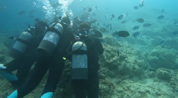 武藤潜水に投稿された画像（2025/9/10）