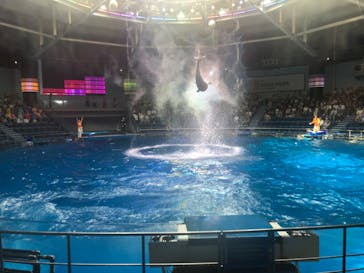 マクセル アクアパーク品川に投稿された画像（2025/9/10）