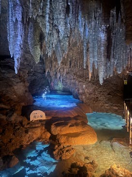 おきなわワールドに投稿された画像（2025/9/10）