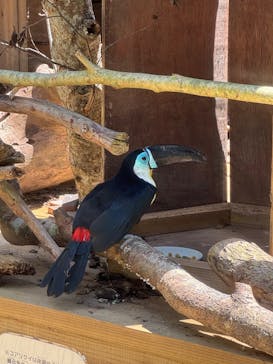 ネオパークオキナワに投稿された画像（2025/9/10）