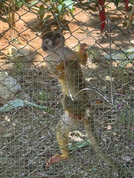 ネオパークオキナワに投稿された画像（2025/9/10）