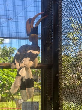 ネオパークオキナワに投稿された画像（2025/9/10）