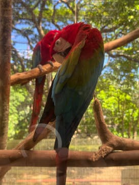 ネオパークオキナワに投稿された画像（2025/9/10）