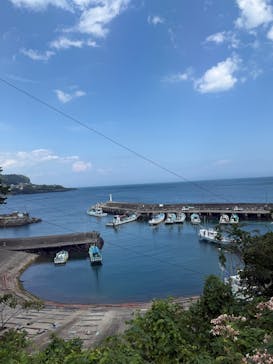 ダイブハウス富戸に投稿された画像（2025/9/10）