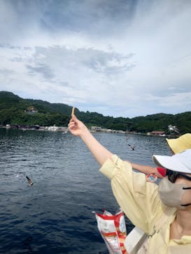 伊根湾めぐり遊覧船に投稿された画像（2025/9/10）