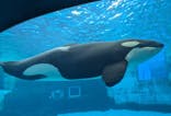 名古屋港水族館に投稿された画像（2025/9/10）