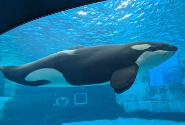 名古屋港水族館に投稿された画像（2025/9/10）