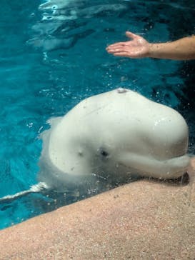 名古屋港水族館に投稿された画像（2025/9/10）