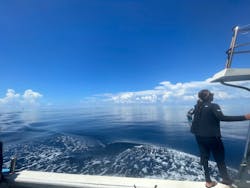 Summer Party（サマーパーティー）に投稿された画像（2025/9/10）