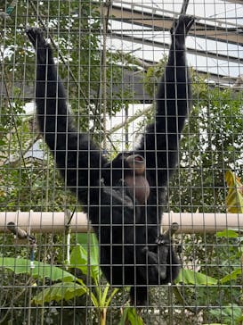 名古屋市東山動植物園に投稿された画像（2025/9/10）