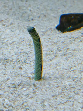 AOAO SAPPOROに投稿された画像（2025/9/10）