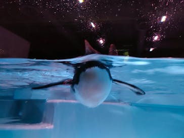 AOAO SAPPOROに投稿された画像（2025/9/10）